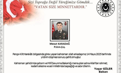 Pençe-Kilit Harekâtı bölgesinde Piyade Uzman Çavuş Mesut Karadağ yıldırım düşmesi sonucu şehit oldu