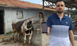 Kurbanlık alırken dikkat! 200 bin TL dolandırıldı
