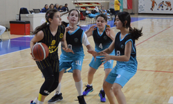 Potada yarış hız kazandı