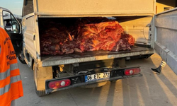 Tonlarca bozulmuş at eti ele geçirildi!