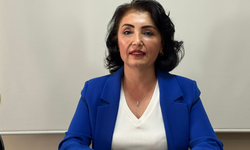 Şahin: Gençlerin gözünü boyuyorlar!