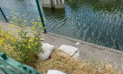 Porsuk’un kenarını ne hale çevirdiniz?