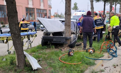 Kontrolden çıkan otomobil refüjdeki ağaca çarptı