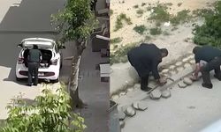 Sokaktaki kaldırım taşlarını söktü, görüntüleri yayılınca geri yerine koydu