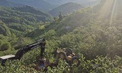 İş makinası şarampole devrildi!