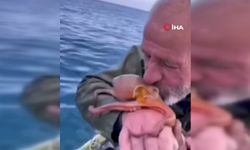 Yakaladığı ahtopotu öpüp sevdi, denize bıraktı