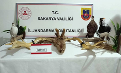 Hayvanat bahçesi gibi ev: Evinden çıkanlar hayrete düşürdü!