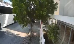 Otobüs şoförü sokak köpeğini ezdi!