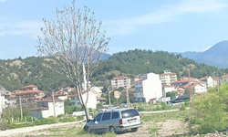 Otomobil ağaca çarptı!