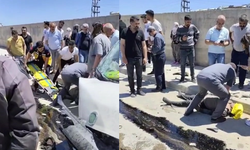 Hafif ticari araç duvara çarptı: 1 ölü