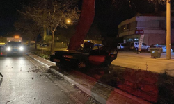 Ağaca çarpan otomobilin sürücüsü hayatını kaybetti!