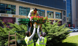 Refüjler çiçeklerle renklendi