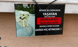 Eskişehir'de yürekleri dağlayan not!