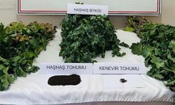 Uyuşturucu operasyonu: Gözaltına alındılar!