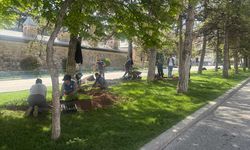 Eskişehir’in kalbi Odunpazarı’nda bahar hazırlığı