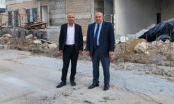 Gürol Yer: Yılların ağaçları bir günde yok oldu!