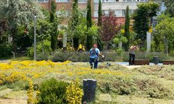 Eskişehir Millet Bahçesi’ni esnaf sahiplendi