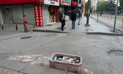 Eskişehir'de saksılar çöplüğe döndü!