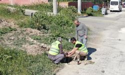 İnönü Belediyesi'nden aydınlatma direği yapım çalışmaları