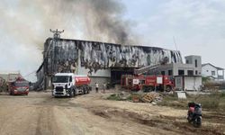 Mersin’de pamuk fabrikası deposunda yangın, ekipler müdahale ediyor
