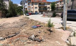 Eskişehir'de çöplüğe dönüşen arsa, mahalle sakinlerini isyan ettirdi!