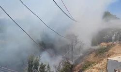 Sigara izmaritleri yangınlara neden oldu