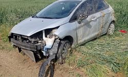 Otomobil tarlaya devrildi: 1 yaralı