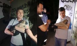 Trafoda mahsur kalan yavru köpeğe duyarsız kalmadı