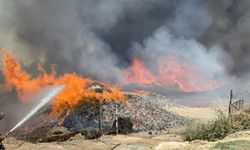 Palet fabrikasındaki yangına müdahale sürüyor