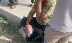 Çocukların kavgasına büyükler karıştı: 5 yaralı