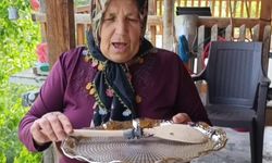 Parmak büyüklüğünde geyik böceği görüldü: Cezası 557 bin TL