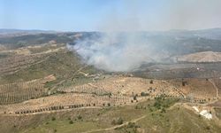 Ormanlık alanda yangın: Havadan ve karadan müdahale