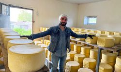 Kars’ta tonlarca süt, eski kaşar için işleniyor