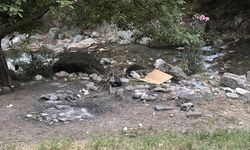 Yasağı delip ormanda mangal yaktılar, jandarmadan kaçamadılar