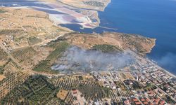 Orman yangınına havadan ve karadan müdahale