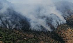Kahramanmaraş'ta orman yangını sürüyor