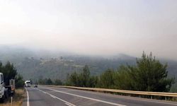 Sakarya’da ormanlık alanda çıkan yangına havadan ve karadan müdahale sürüyor