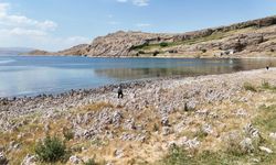 Van Gölü sahilleri mikrobiyalit tarlasına döndü