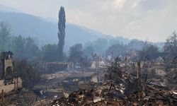 Bilecik'te 3 gündür devam eden yangın yağmurun etkisiyle kısmen kontrol altına alındı