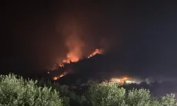 Ormana benzin dökerek yangın çıkartan şahıs gözaltına alındı