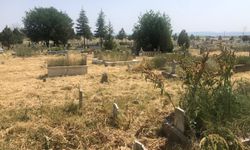 Eskişehir'de o mezarlık otlara teslim oldu