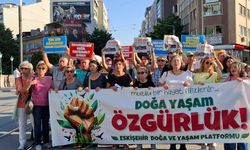 Eskişehir’de “Maden Yasası” tepkisi: "Bu bir Ekokırım projesidir”