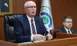 Kurt’tan ağaç katliamı iddialarına yanıt