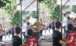 Kızgın boğa kasaba hayatının kabusunu yaşattı