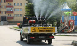Eskişehir'de kene ile mücadele