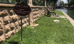 Eskişehir'de o yasağa uyan yok!