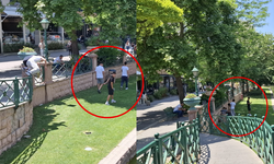 Eskişehir'de o yasağı hiçe sayıyorlar