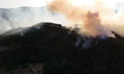 Bolu’daki orman yangınında 25 hektar küle döndü