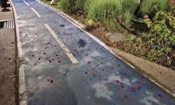 Eskişehir Millet Bahçesi’nde o görüntüler tepki topladı