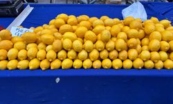 Eskişehir’de limon fiyatları görenleri şaşırtıyor!